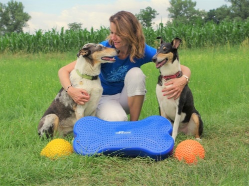 Fyzioterapie pro psy a dog fitness - MVDr. Hejhalová